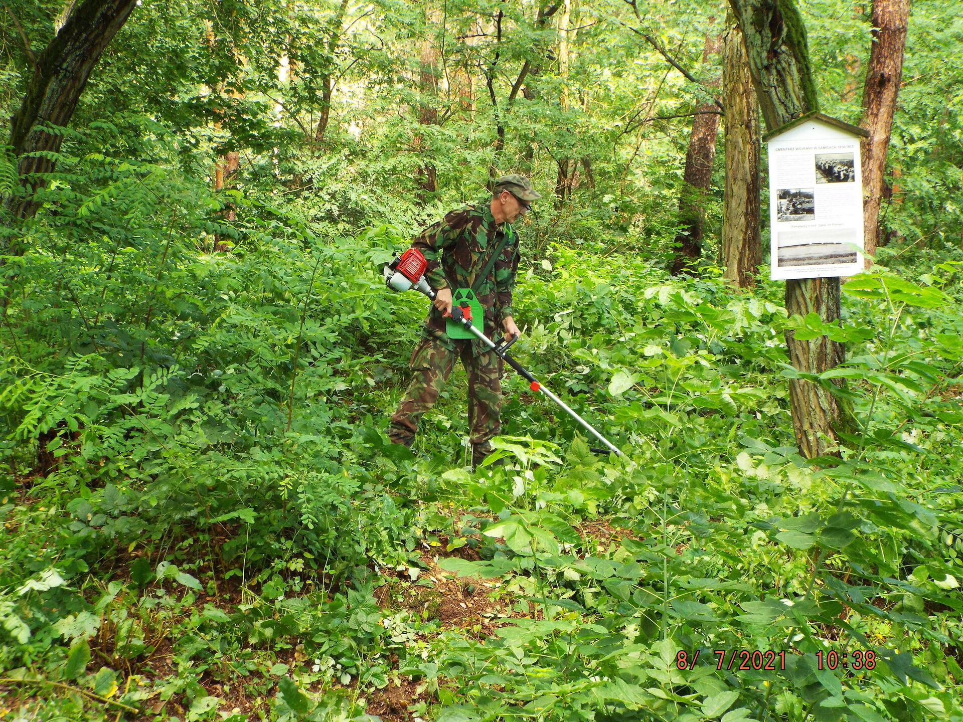 8. DSCF1269 J.SŁ Samowyzwalacz Samice