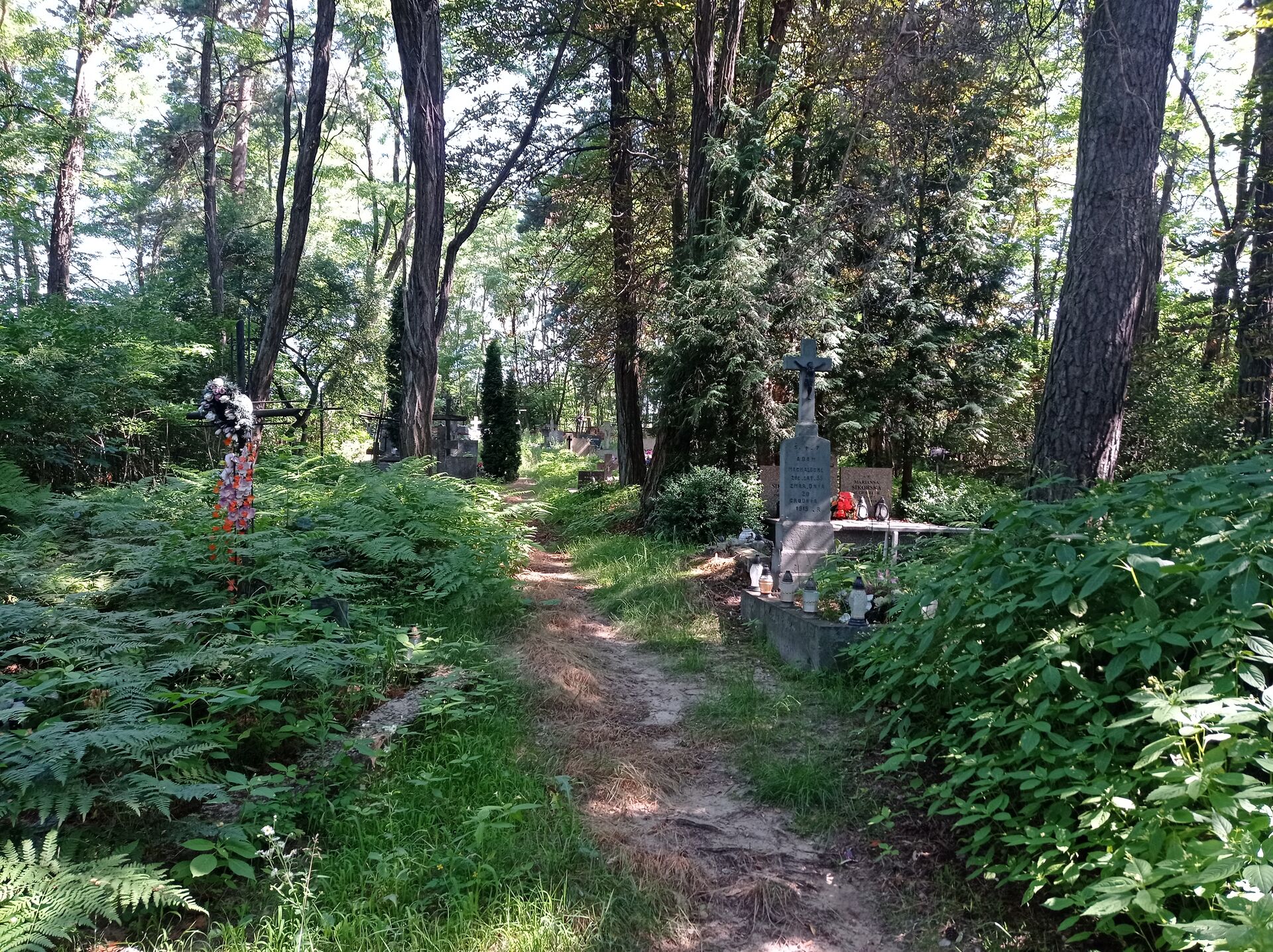 11. Wólka Jeruzalska SP 11