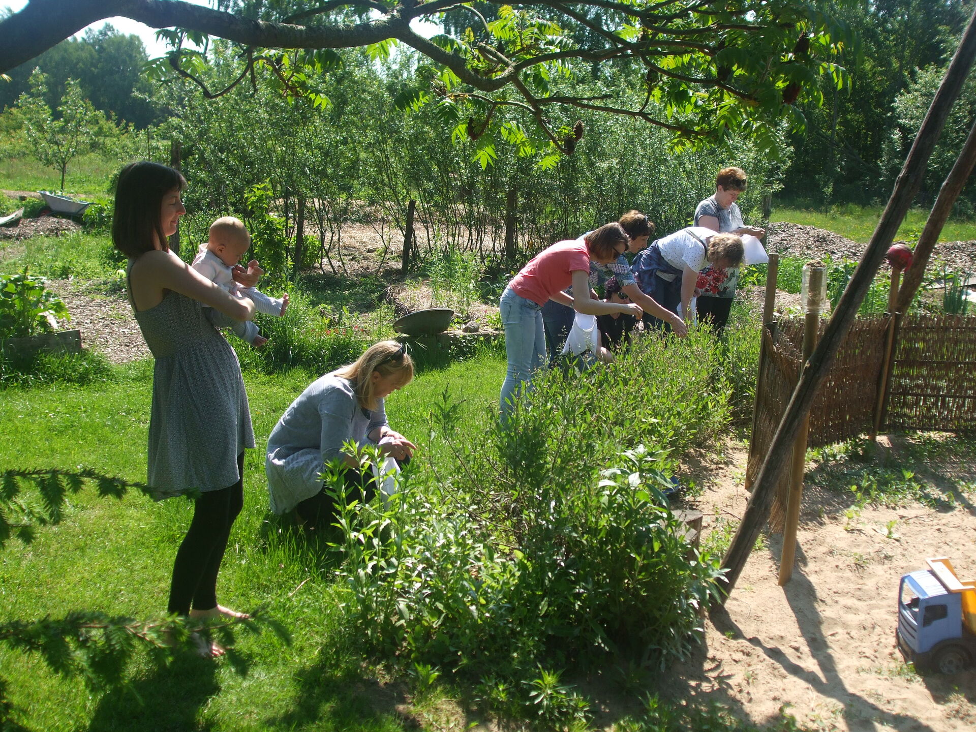 13c. Esterka agrotur. SP 19