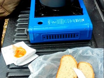 Działania w ramach czynnej ochrony pełnika europejskiego w PPK., 