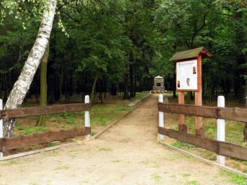 Cmentarz w Poćwiardówce