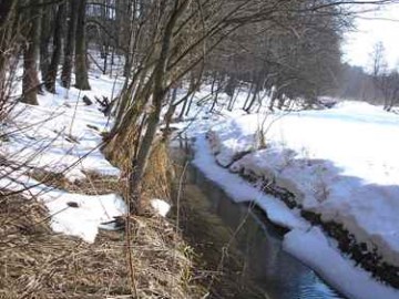 Moszczenica w Ługach